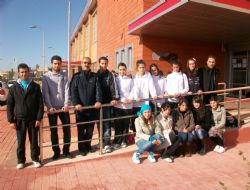 Aile boyu curlignciler